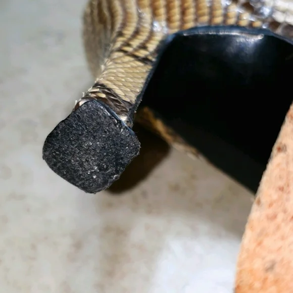 Stuart Weitzman Snake Skin Pumps size 8.5AA/Narrow - Picture 5 of 10